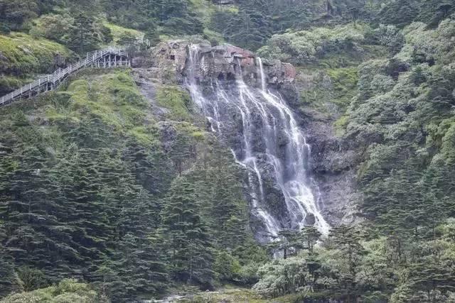吃水果的蛇